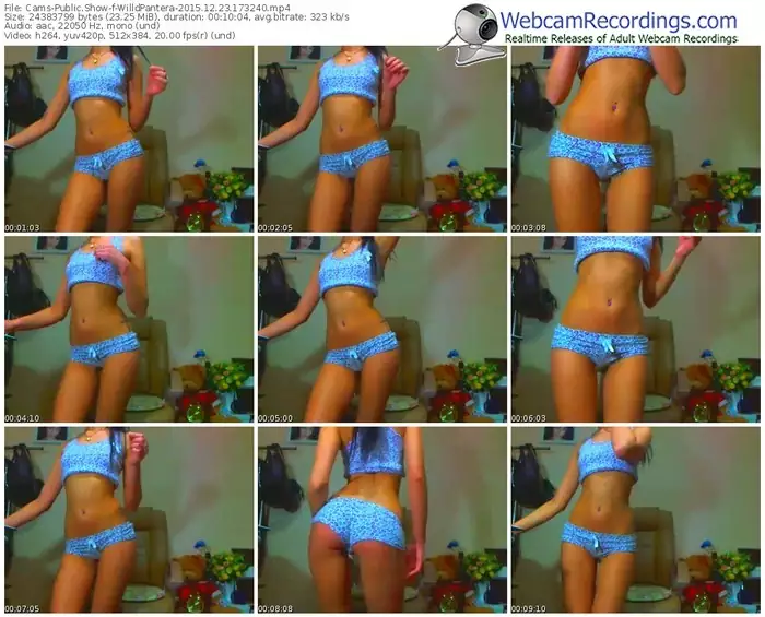 cams-willdpantera-webcam-show-12_23_2015-17_32_40