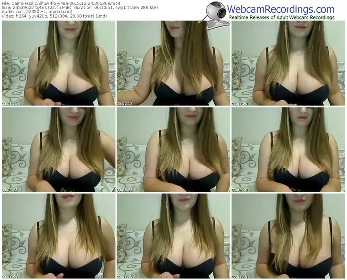 cams-skymia-webcam-show-12_24_2015-20_53_09