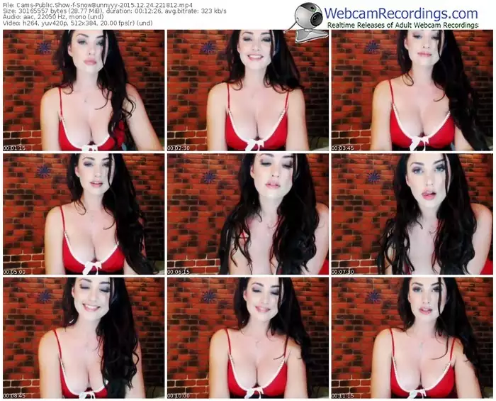 cams-snowbunnyyy-webcam-show-12_24_2015-22_18_12