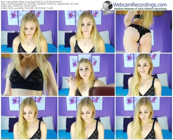 cams-sunrisez-webcam-show-12_24_2015-05_47_54