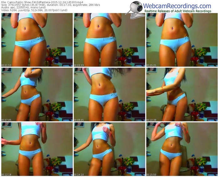 cams-willdpantera-webcam-show-12_24_2015-14_53_03