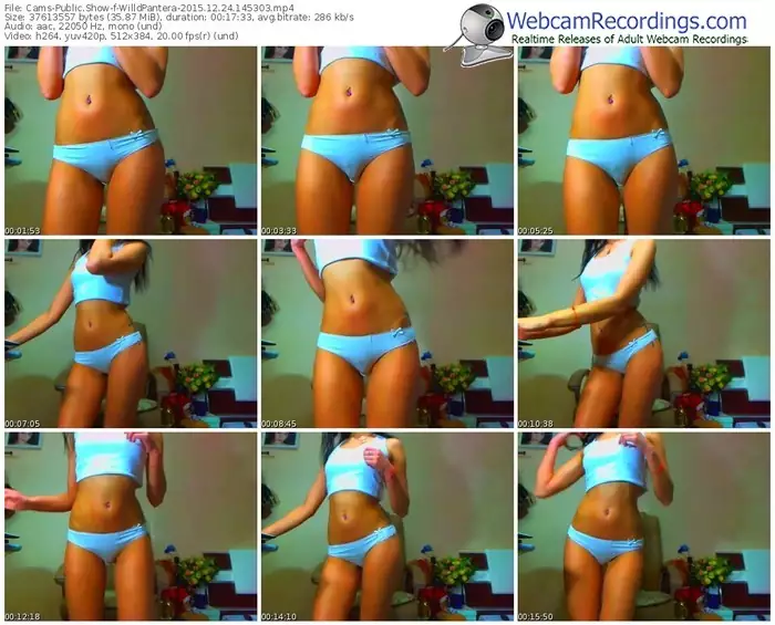 cams-willdpantera-webcam-show-12_24_2015-14_53_03