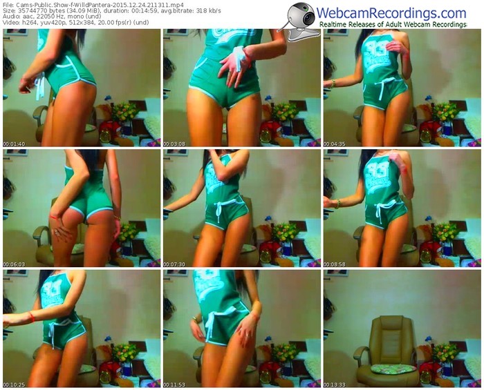 cams-willdpantera-webcam-show-12_24_2015-21_13_11