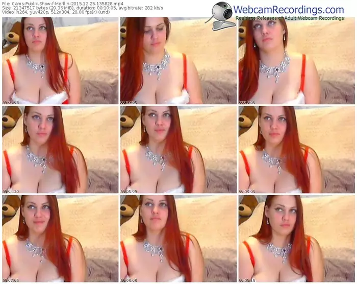 cams-merllin-webcam-show-12_25_2015-13_58_28