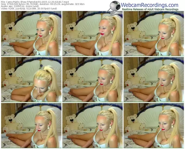 cams-pamelavss-webcam-show-12_25_2015-02_18_17