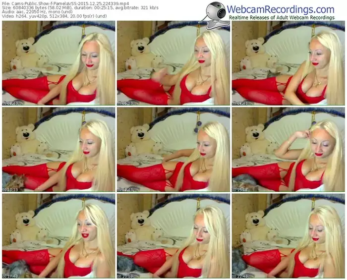 cams-pamelavss-webcam-show-12_25_2015-22_43_39