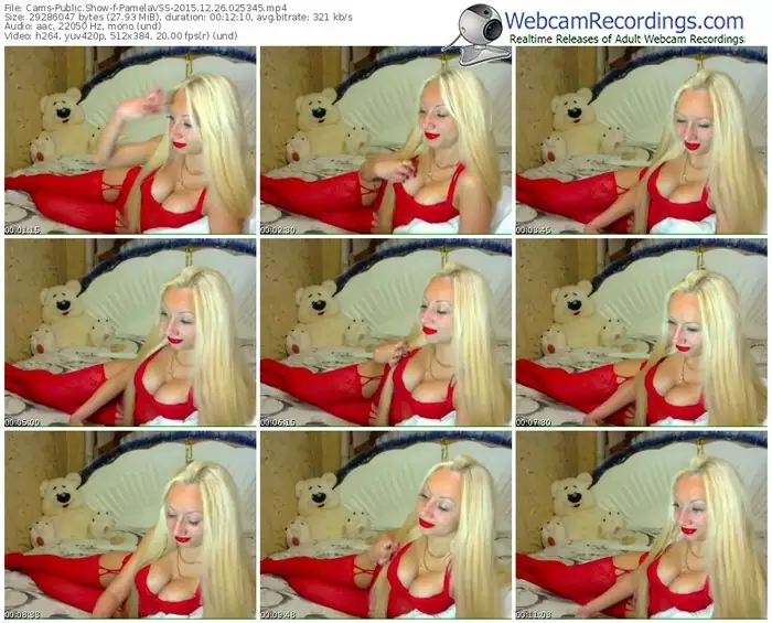 cams-pamelavss-webcam-show-12_26_2015-02_53_45