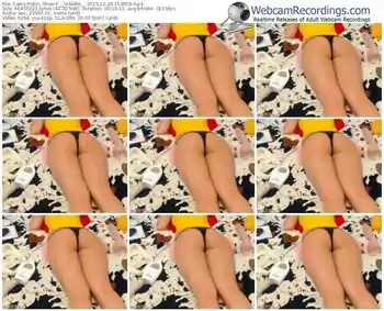 cams-__vlagra__-webcam-show-12_26_2015-15_38_58