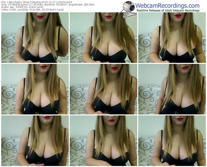 cams-skymia-webcam-show-12_27_2015-12_54_24