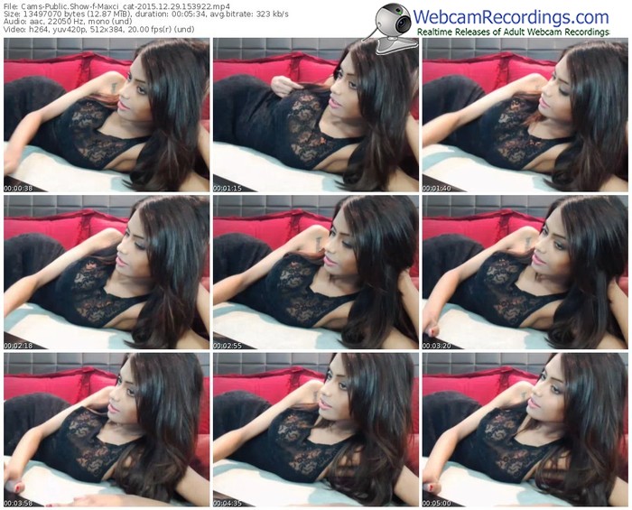 cams-maxci_cat-webcam-show-12_29_2015-15_39_22