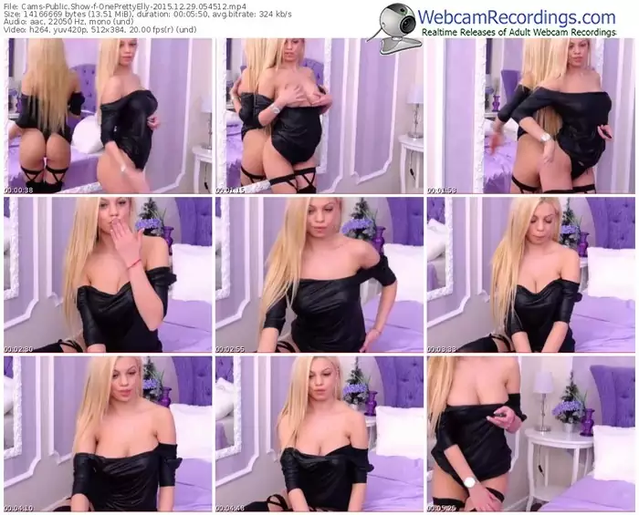 cams-oneprettyelly-webcam-show-12_29_2015-05_45_12