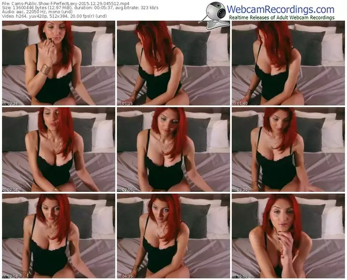 cams-perfectlexy-webcam-show-12_29_2015-04_55_12