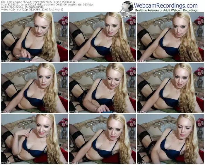 cams-hesperus-webcam-show-12_30_2015-11_59_32