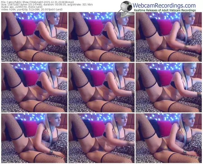 cams-malyna90-webcam-show-12_31_2015-21_04_38