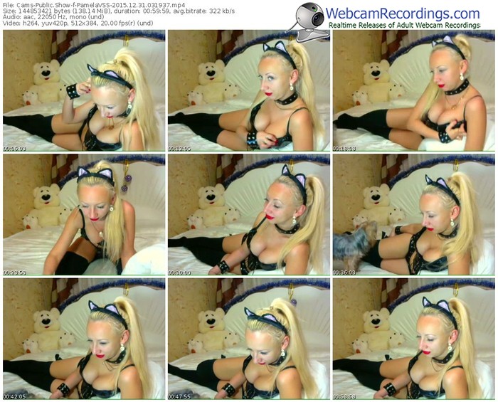 cams-pamelavss-webcam-show-12_31_2015-03_19_37