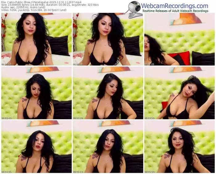 cams-penelopeluz-webcam-show-12_31_2015-11_29_37
