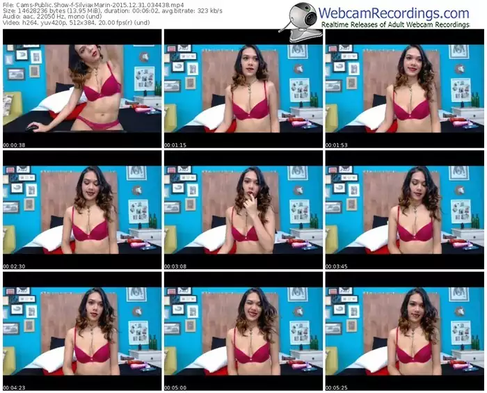 cams-silviaxmarin-webcam-show-12_31_2015-03_44_38