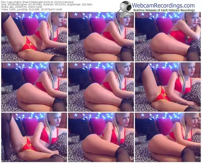 cams-malyna90-webcam-show-01_02_2016-01_11_36