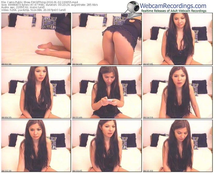 cams-wildthing-webcam-show-01_02_2016-16_36_55