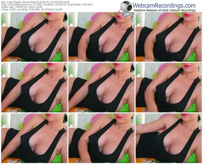 cams-hayfa-webcam-show-01_16_2016-09_31_35