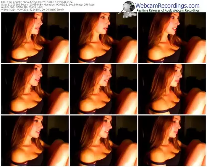 cams-shylika-webcam-show-01_18_2016-21_37_44