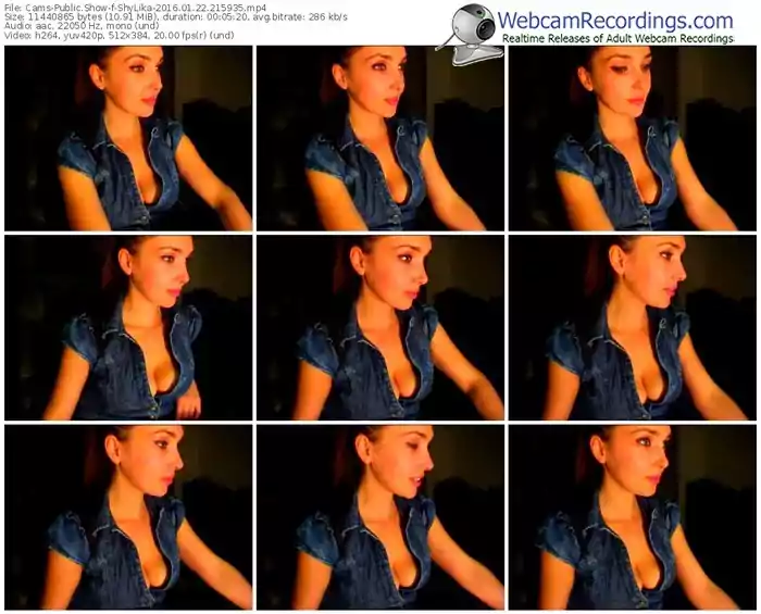 cams-shylika-webcam-show-01_22_2016-21_59_35