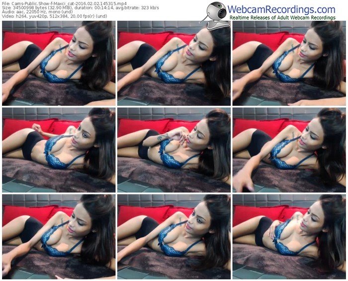 cams-maxci_cat-webcam-show-02_02_2016-14_53_15