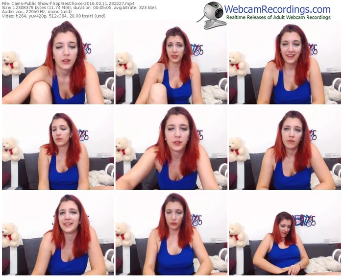 cams-sophieschoice-webcam-show-02_11_2016-23_22_27