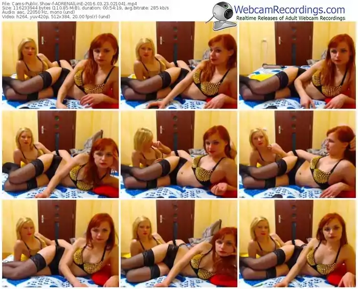 cams-adrenalline-webcam-show-03_23_2016-02_10_41