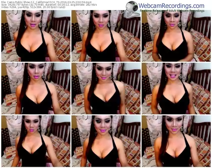 cams-1_californiacock_ts-webcam-show-03_25_2016-23_11_59