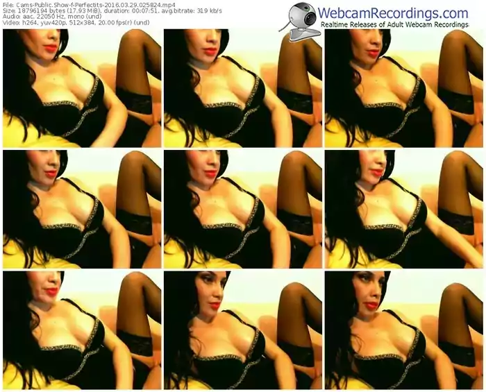 cams-perfectits-webcam-show-03_29_2016-02_58_24