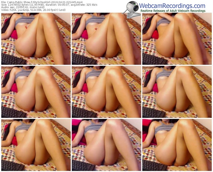 cams-shyschoolgirl-webcam-show-04_01_2016-02_14_45