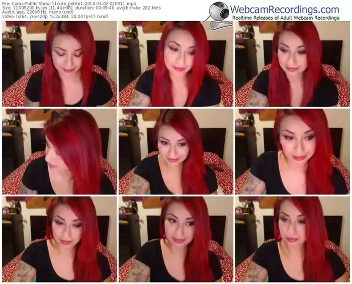 cams-1cute_petite1-webcam-show-04_02_2016-01_05_11