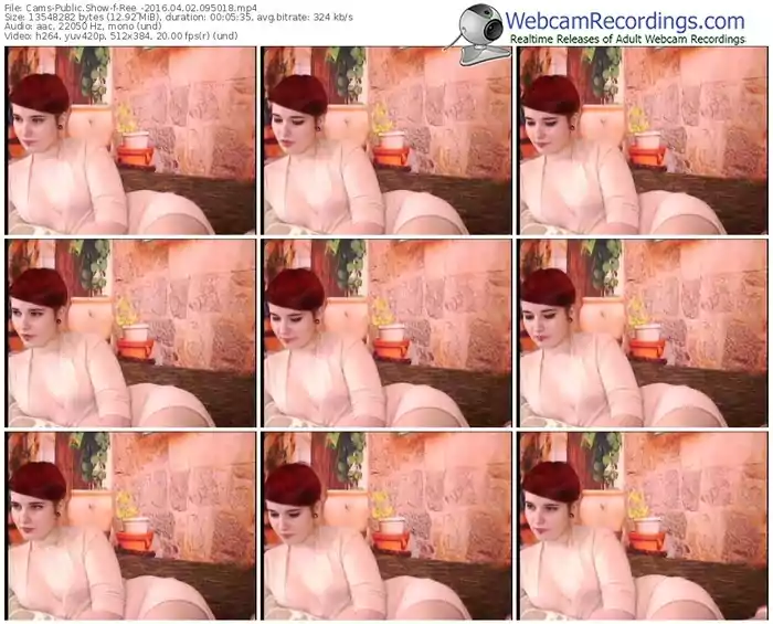 cams-ree_-webcam-show-04_02_2016-09_50_18