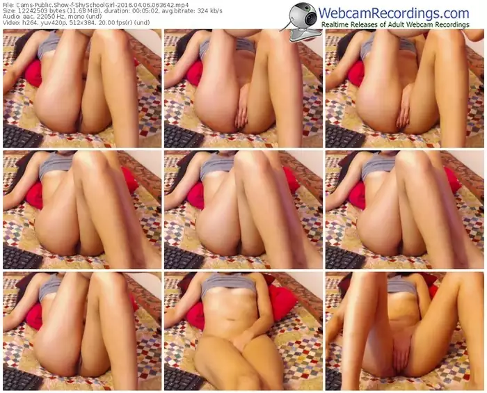 cams-shyschoolgirl-webcam-show-04_06_2016-06_36_42