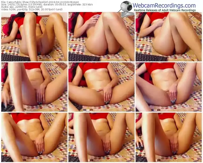 cams-shyschoolgirl-webcam-show-04_10_2016-03_21_08