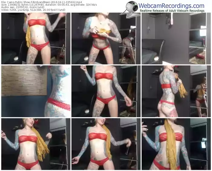 cams-birdyandbeez-webcam-show-04_11_2016-03_56_32