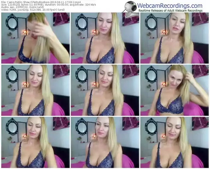 cams-perkyboobies-webcam-show-04_11_2016-17_33_12