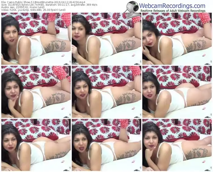 cams-18hootbrunette-webcam-show-04_12_2016-01_41_56
