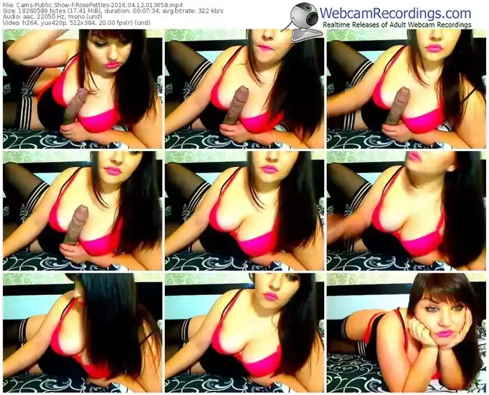 cams-rosepettles-webcam-show-04_12_2016-01_36_58