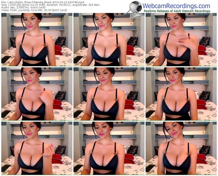 cams-pamela_black-webcam-show-04_14_2016-18_37_48
