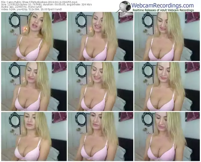 cams-perkyboobies-webcam-show-04_14_2016-03_42_55