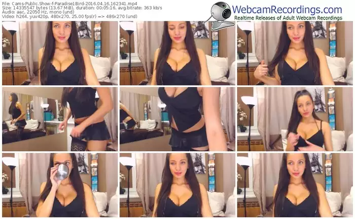 cams-paradise1bird-webcam-show-04_16_2016-16_23_41