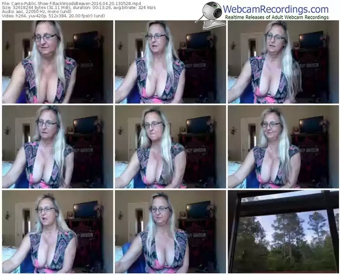 cams-backwoodsbeaver-webcam-show-04_20_2016-13_05_28