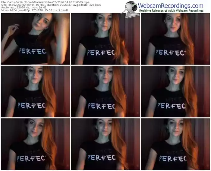 cams-malenabitches23-webcam-show-04_20_2016-21_05_39