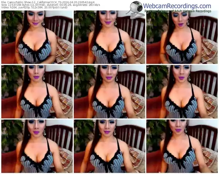 cams-1_californiacock_ts-webcam-show-04_20_2016-23_05_42