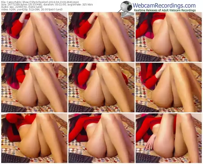 cams-shyschoolgirl-webcam-show-04_23_2016-01_26_40
