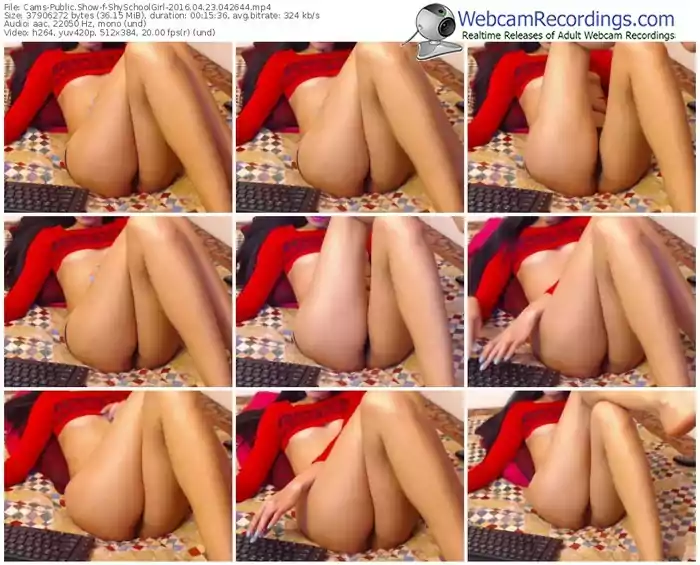cams-shyschoolgirl-webcam-show-04_23_2016-04_26_44