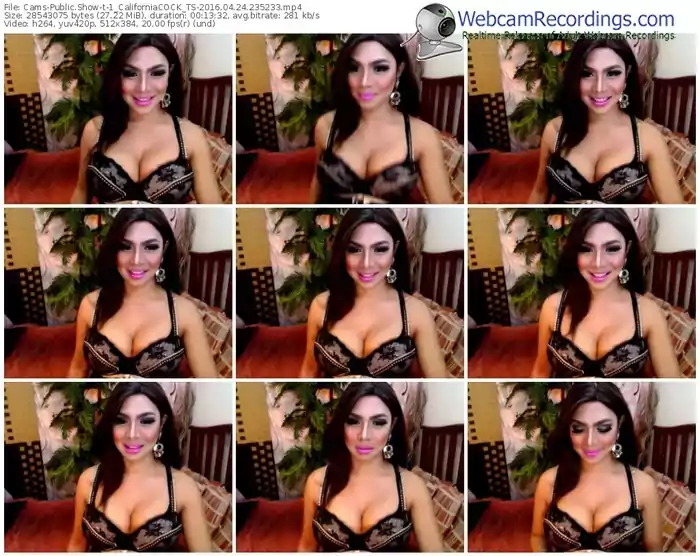 cams-1_californiacock_ts-webcam-show-04_24_2016-23_52_33