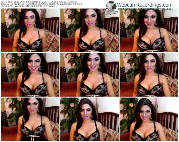 cams-1_californiacock_ts-webcam-show-04_25_2016-00_17_33